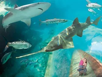 Atlantis - The Coral At Atlantis Autograph Collection Hotel Creek Village