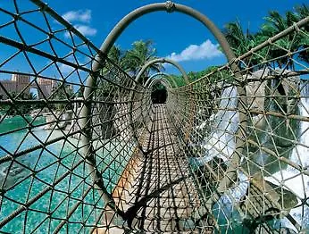 Atlantis - The Coral At Atlantis Autograph Collection Hotel Creek Village Bahamas