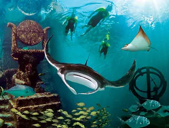 Atlantis - The Coral At Atlantis Autograph Collection Hotel Creek Village