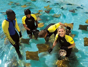 ****  Atlantis - The Coral At Atlantis Autograph Collection Hotel Creek Village Bahamas