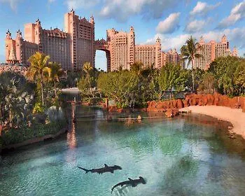 Atlantis - The Coral At Atlantis Autograph Collection Hotel Creek Village